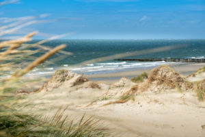 Dune landscape in Holland with a view of the sea Dune landscape in Holland with a view of the sea